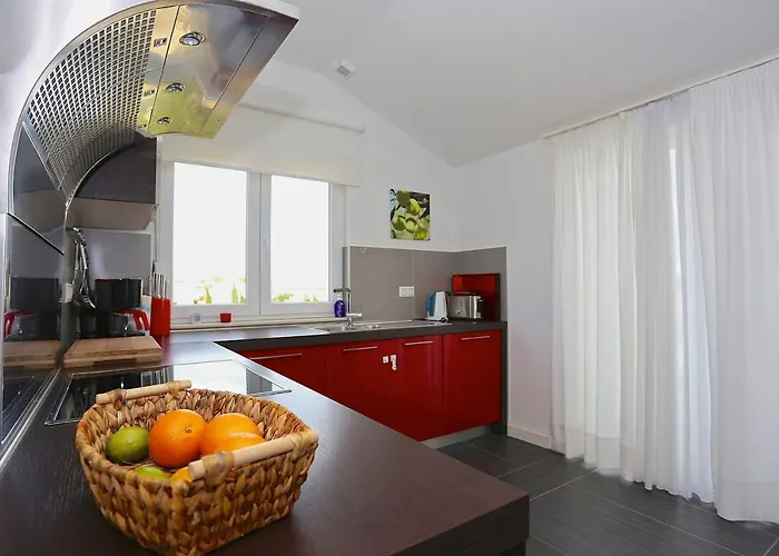 Belvedere 4 مورتير